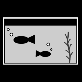fish / aquarium