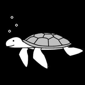 schildpad / zeeschildpad